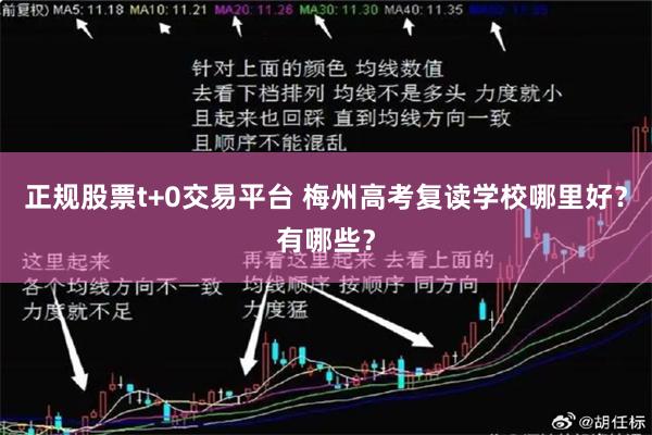 正规股票t+0交易平台 梅州高考复读学校哪里好？有哪些？