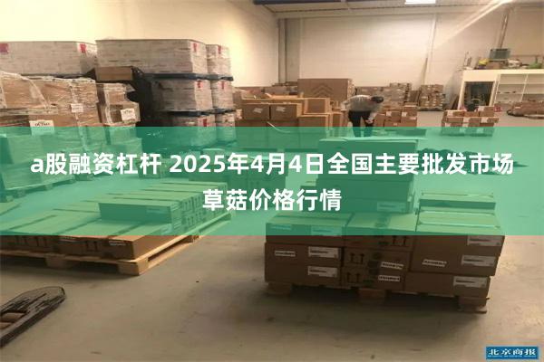 a股融资杠杆 2025年4月4日全国主要批发市场草菇价格行情