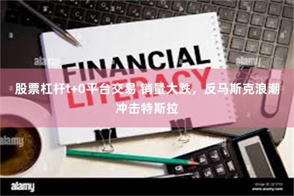 股票杠杆t+0平台交易 销量大跌，反马斯克浪潮冲击特斯拉