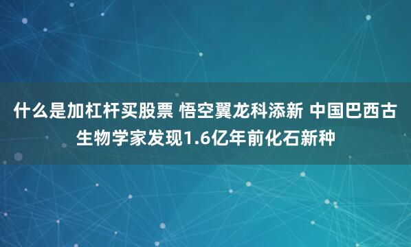 什么是加杠杆买股票 悟空翼龙科添新 中国巴西古生物学家发现1.6亿年前化石新种