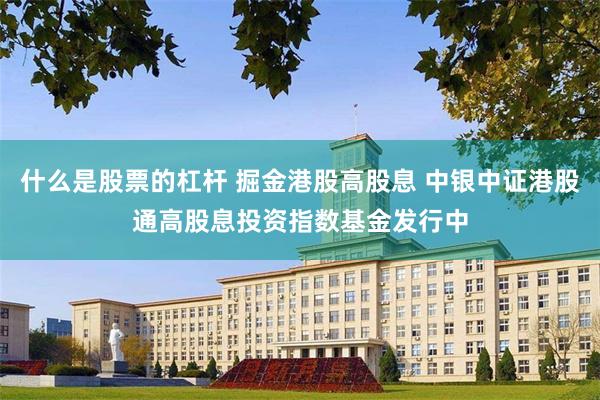 什么是股票的杠杆 掘金港股高股息 中银中证港股通高股息投资指数基金发行中