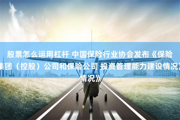 股票怎么运用杠杆 中国保险行业协会发布《保险集团（控股）公司和保险公司 投资管理能力建设情况》
